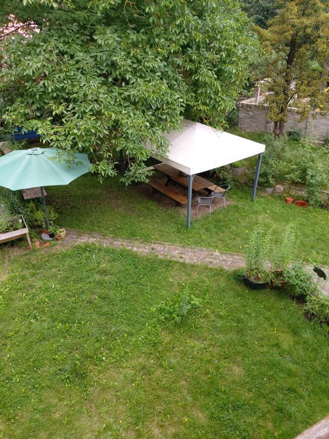 Ferienwohnung Kräuter-Heidi Schwielowsee Exterior foto